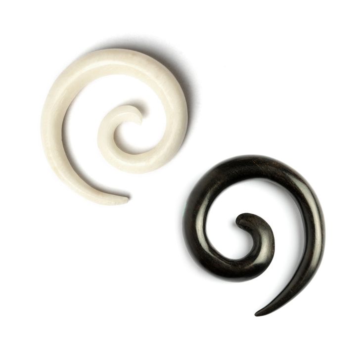 Horn Spiral Ear Material Premium Natural Horn