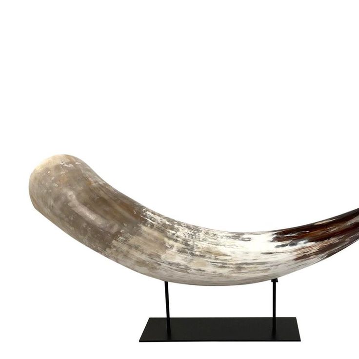 Horns On Stands Display The Beauty Of Natural Horn With These Handcrafted