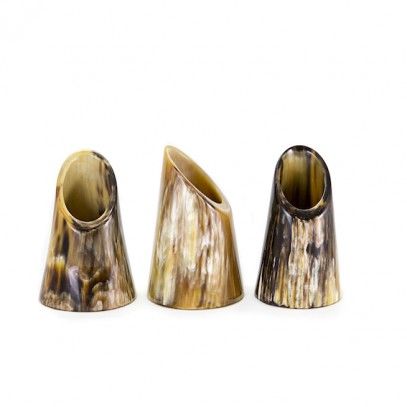 Horn Pen Holders Perfect For Home Office Or As Thoughtful