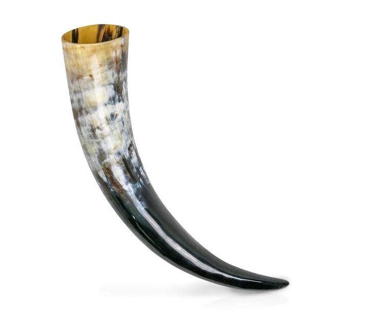 Viking Drinking Horn Hand-Polished To a Smooth Finish And Fitted With a Food-Safe