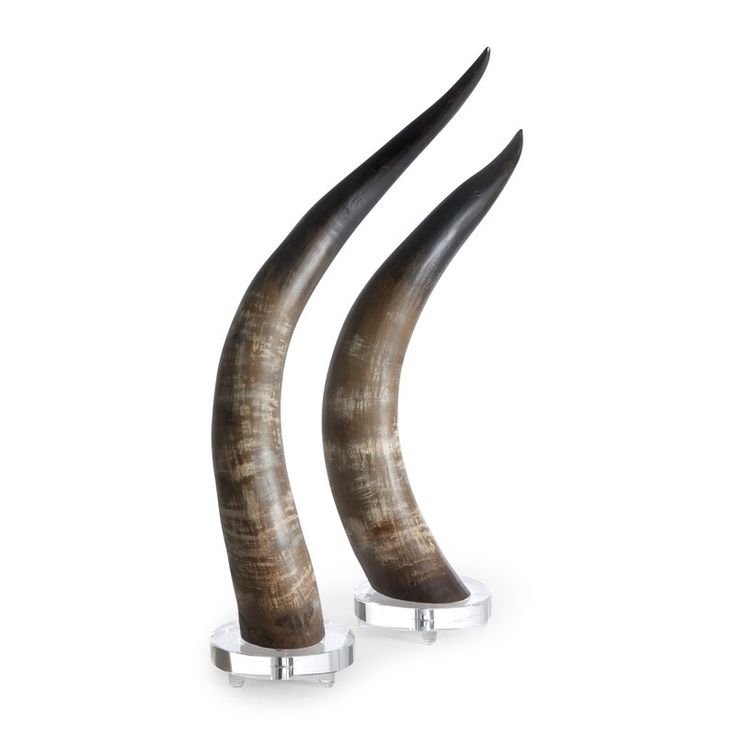 Horn Showpiece Celebrate The Natural Elegance Of Handcrafted Artistry