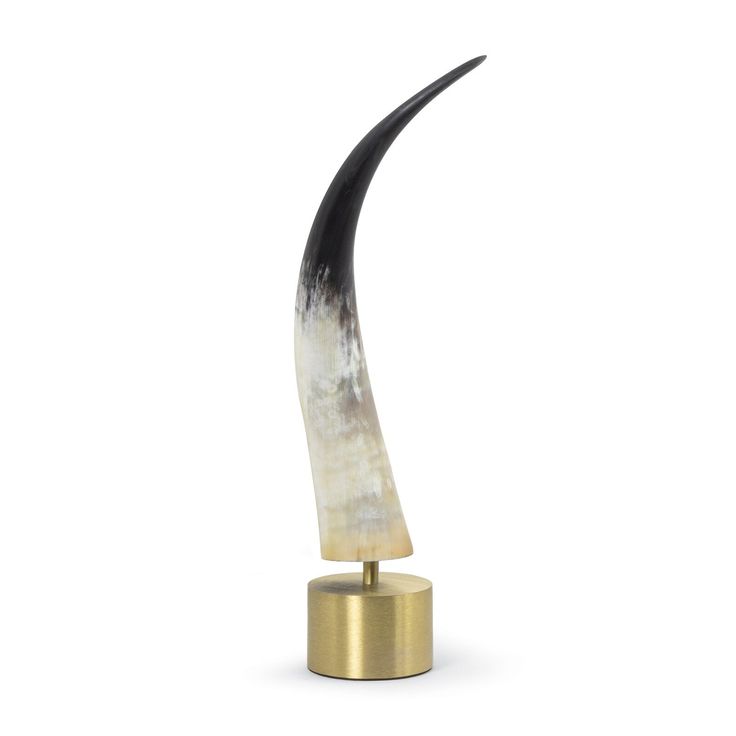 Horn Showpiece Celebrate The Natural Elegance Of Handcrafted Artistry