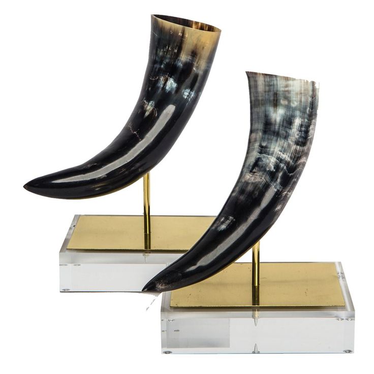 Horns On Stands Display The Beauty Of Natural Horn With These Handcrafted