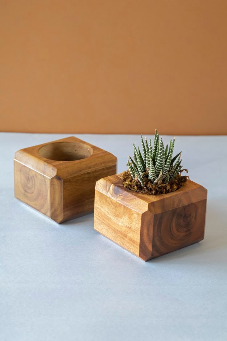 Wooden Flower Pot Unique Wooden  Natural Color Beauty Garden Green Space