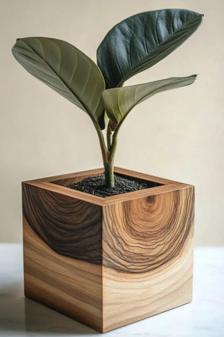 Wooden Flower Pot Unique Wooden  Natural Color Beauty Garden Green Space
